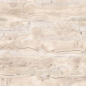 Canadian-Oak-3851